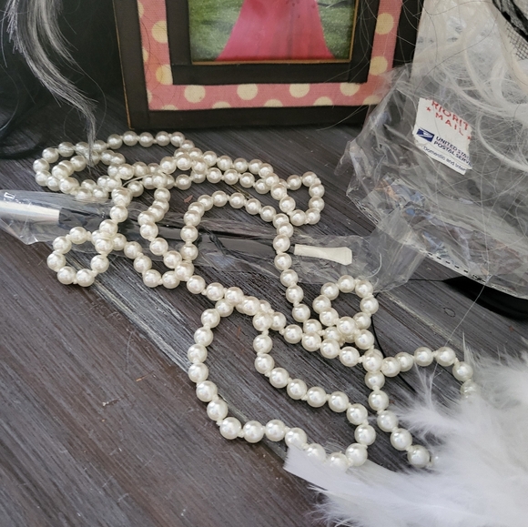 Cruella Deville Costume set Wig + Accessories - Picture 6 of 8